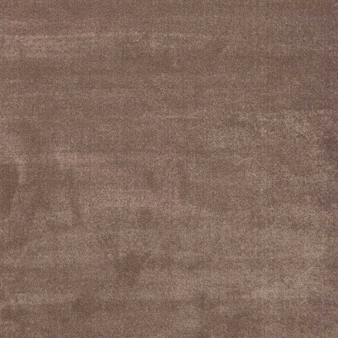 Alfombra Ambiente Camel 160x235Cm