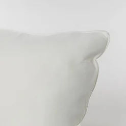 Almohada especial latex 45x60cm