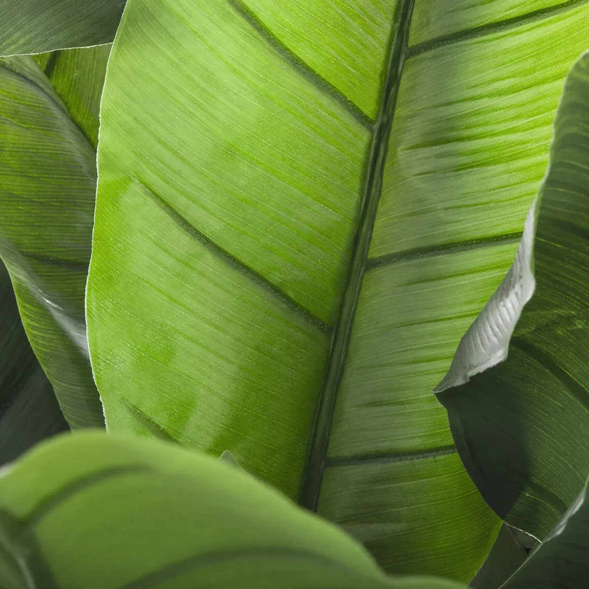 Bananera Artificial 30 Hojas 170Cm