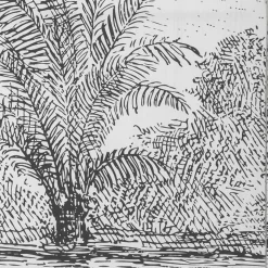 Biombo Decorativo Negro Y Blanco