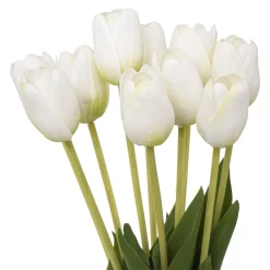 Bouquet C/10 Tulipanes Blancos 16x48Cm