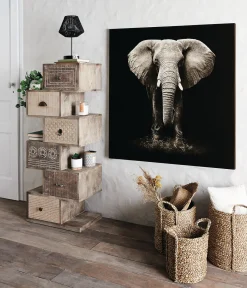 Cuadro Decorativo Elefante 100x100Cm