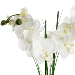 Maceta Cerámica C/Orquídea 53Cm