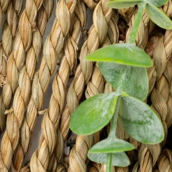 Maceta Colgante Con Eucalipto Artificial