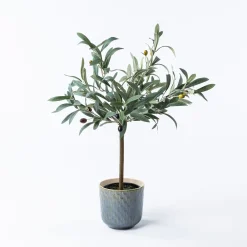 Maceta De Cerámica Texturada 13.5cm