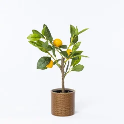 Maceta De Cerámica Zig Zag 11cm