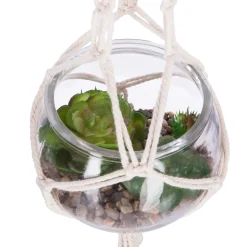 Maceta De Vidrio Colgante C/Planta