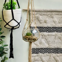 Maceta De Vidrio Colgante 18x16Cm