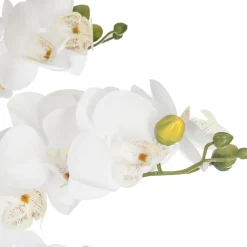 Maceta Efect.Mármol C/Orquídea 25x65Cm