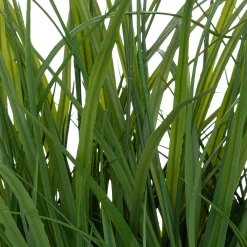 Maceta Jacinto Con Hierbas 70cm