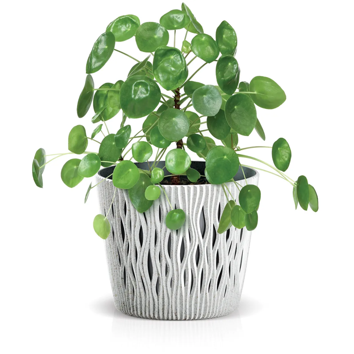 Maceta Sandy Round C/Blanco 19x17Cm