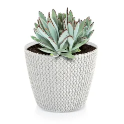 Maceta Splofy Eco Wood C/Blanco 22x26Cm