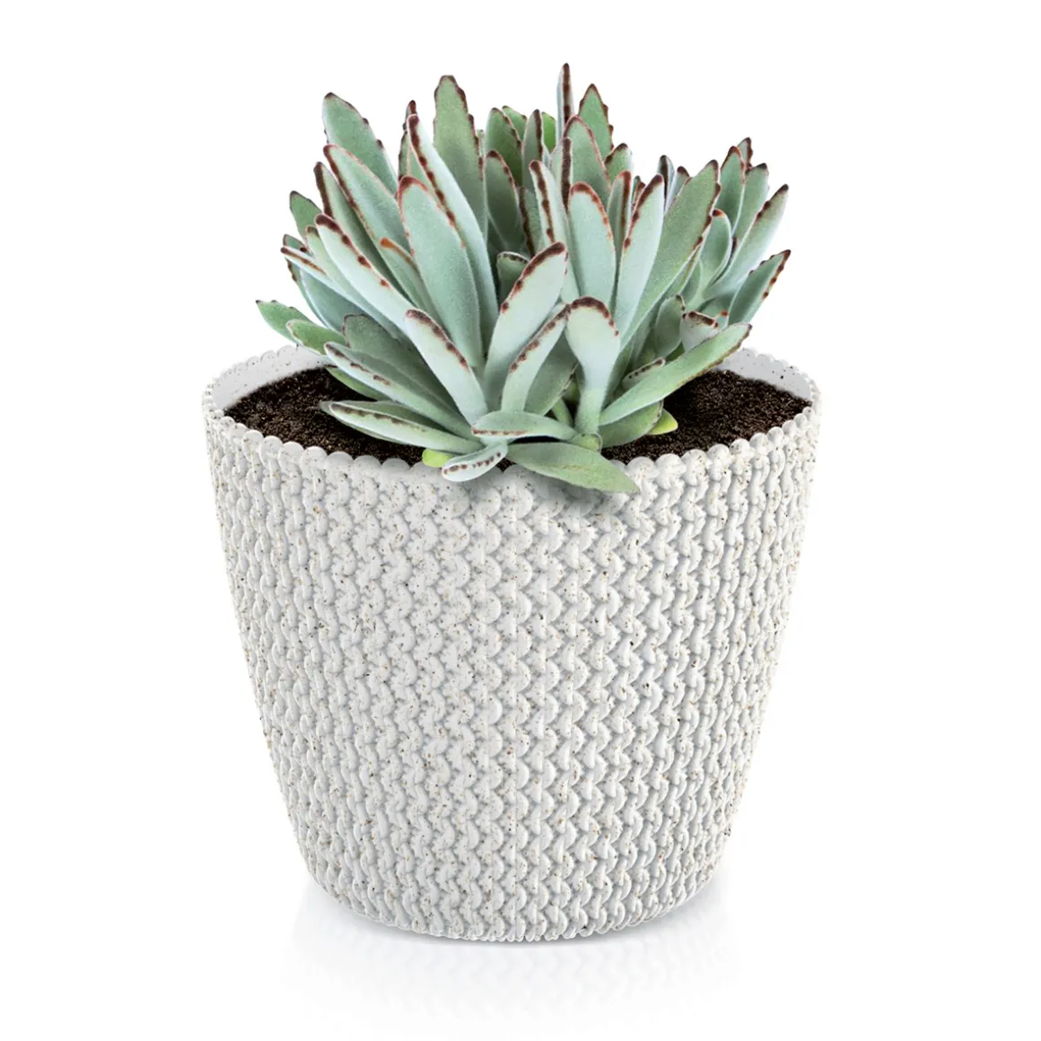 Maceta Splofy Eco Wood C/Blanco 22x26Cm