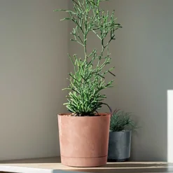 Maceta TUBO efecto cemento terracota