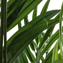 Palmera Areca Con Maceta 230Cm