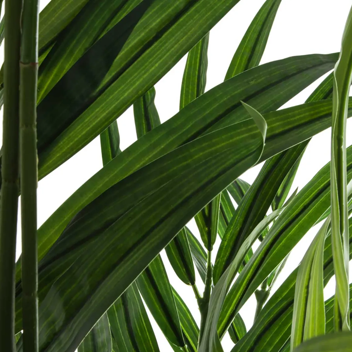 Palmera Areca Con Maceta 230Cm