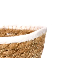 Panera rectangular 24cm