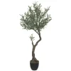 Planta De Olivo 140Cm