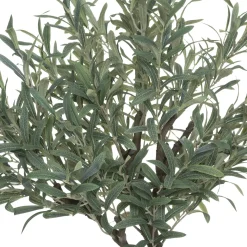 Planta De Olivo 140Cm