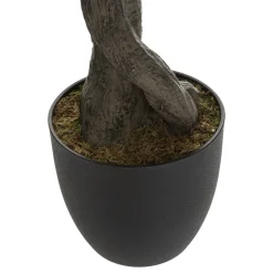 Planta De Olivo 140Cm