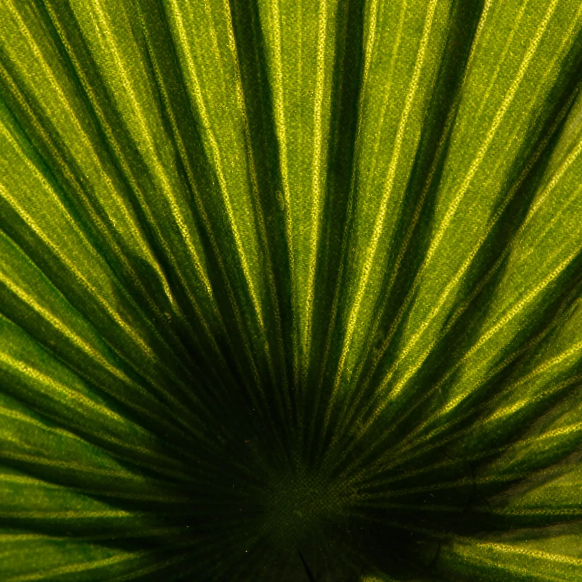 Planta Palmera Artificial 180Cm