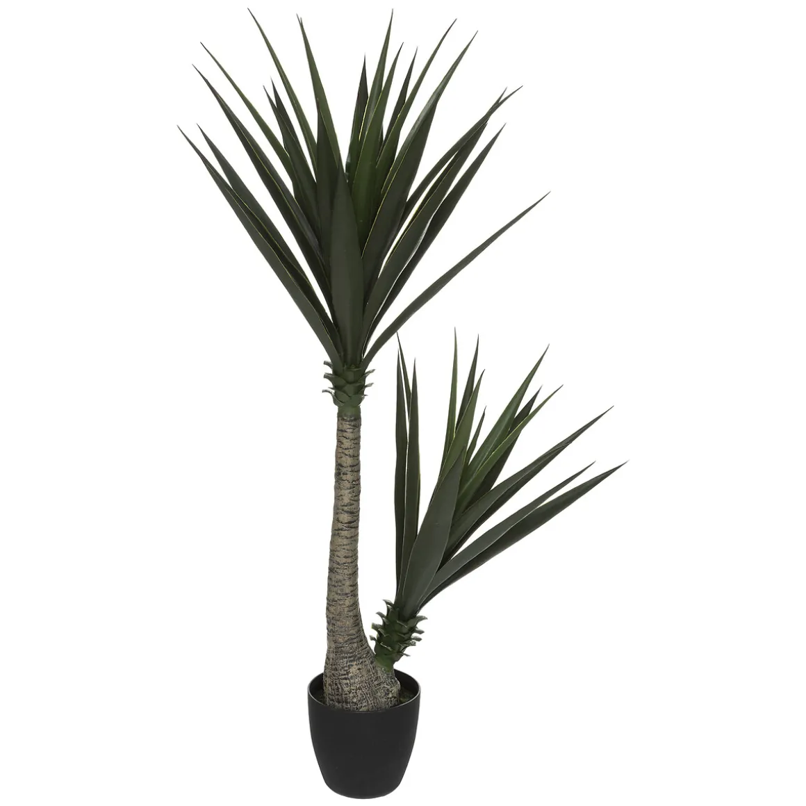 Planta Yucca Verde 130Cm