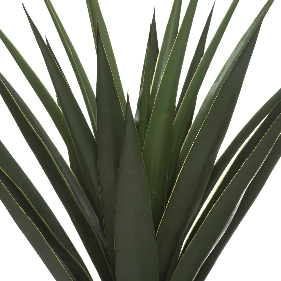 Planta Yucca Verde 130Cm