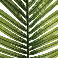 Rama De Hoja De Palma Artificial 113Cm