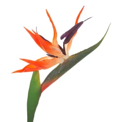 Rama De Strelitzia Artificial 83Cm