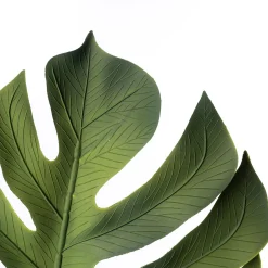 Rama Hoja Costilla De Adán Verde 85cm