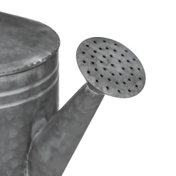 Regadera De Zinc 41.5x18x25Cm