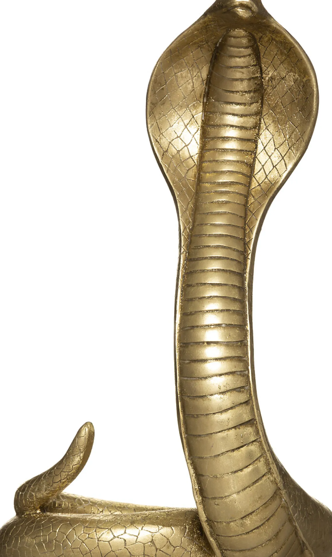 Serpiente Decorativa Poliresina 25x36Cm