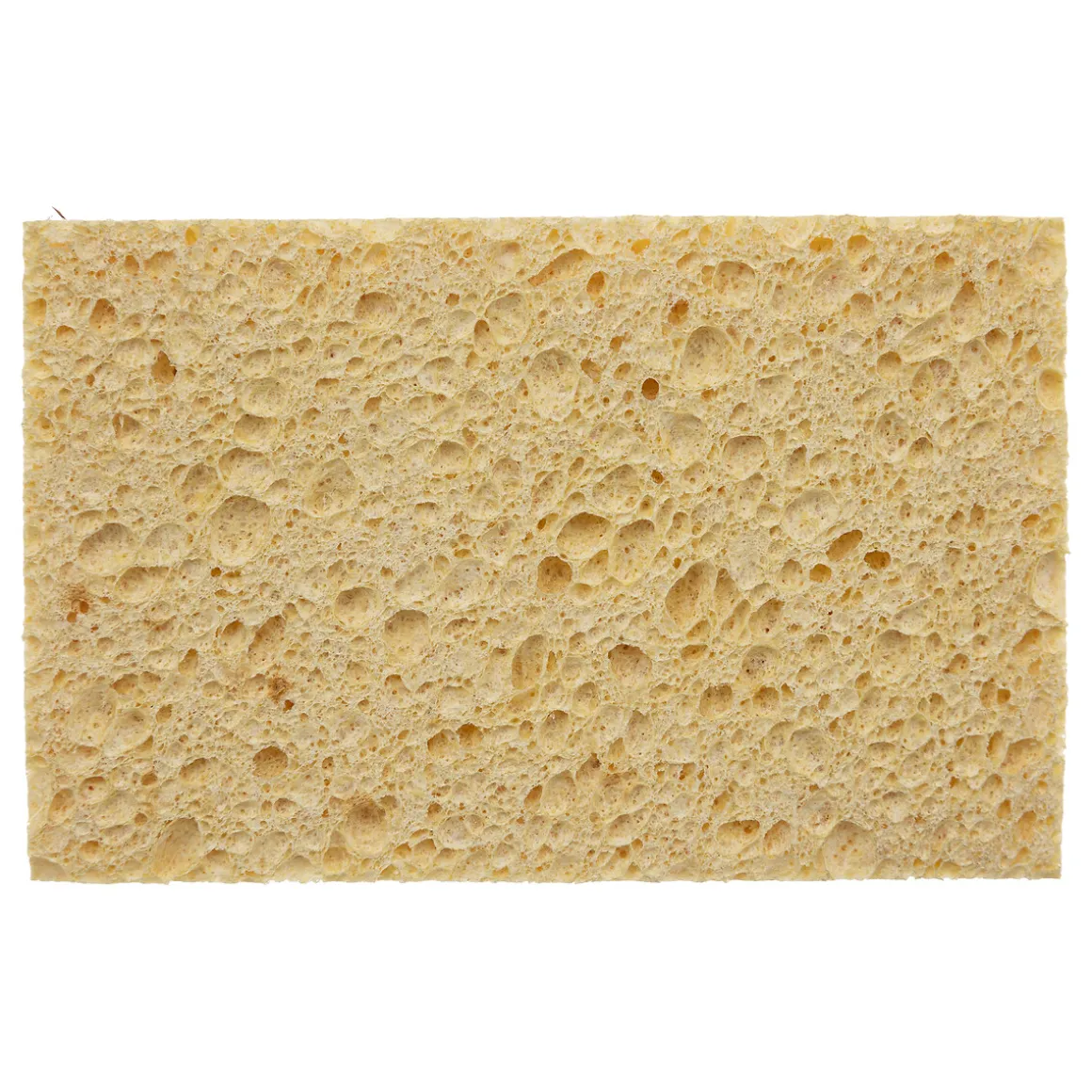 Set 2 Esponjas Fibra de Coco