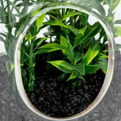 Terrario de vidrio con plantas artificiales NALY