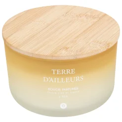 Vela perfumada terre d'ailleurs SANA 420g