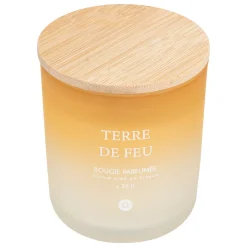 Vela perfumada terre de feu SANA 255g