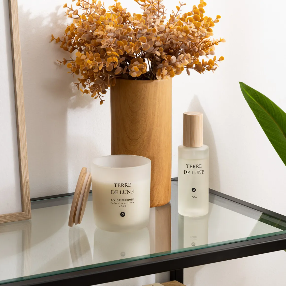 Vela perfumada Terre de Lune SANA 255g